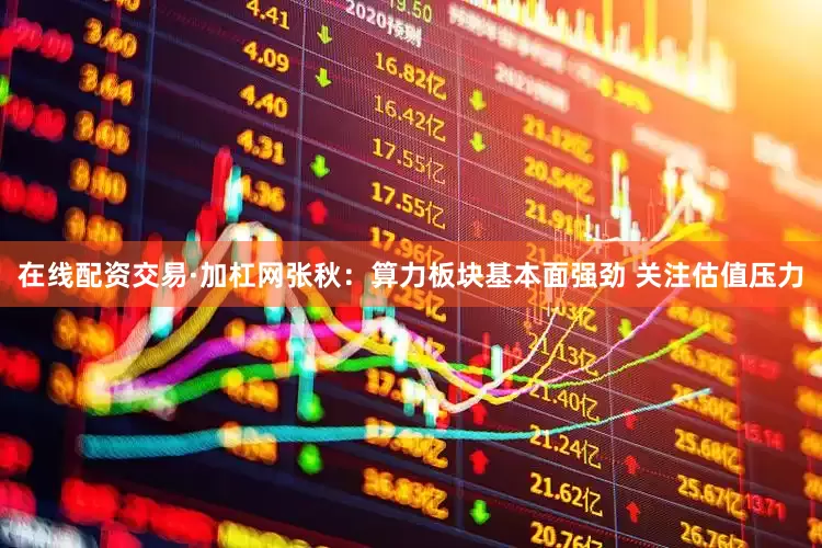 在线配资交易·加杠网张秋:算力板块基本面强劲 关注估值压力