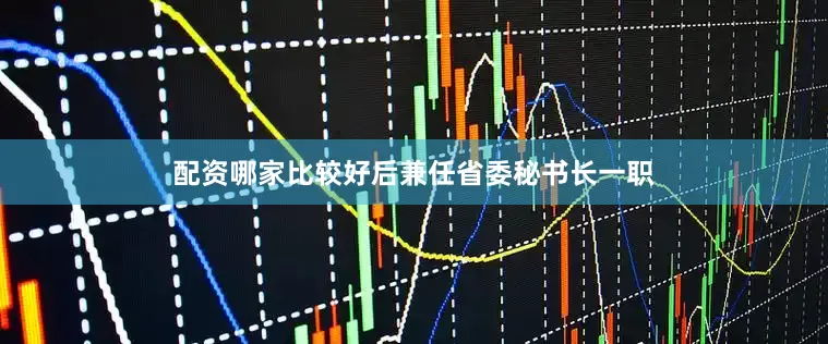 配资哪家比较好后兼任省委秘书长一职